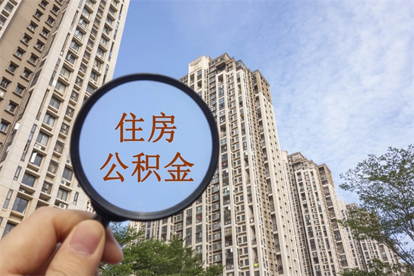 馆陶辞职多久公积金可以全部取出来吗（辞职之后公积金多长时间可以取）
